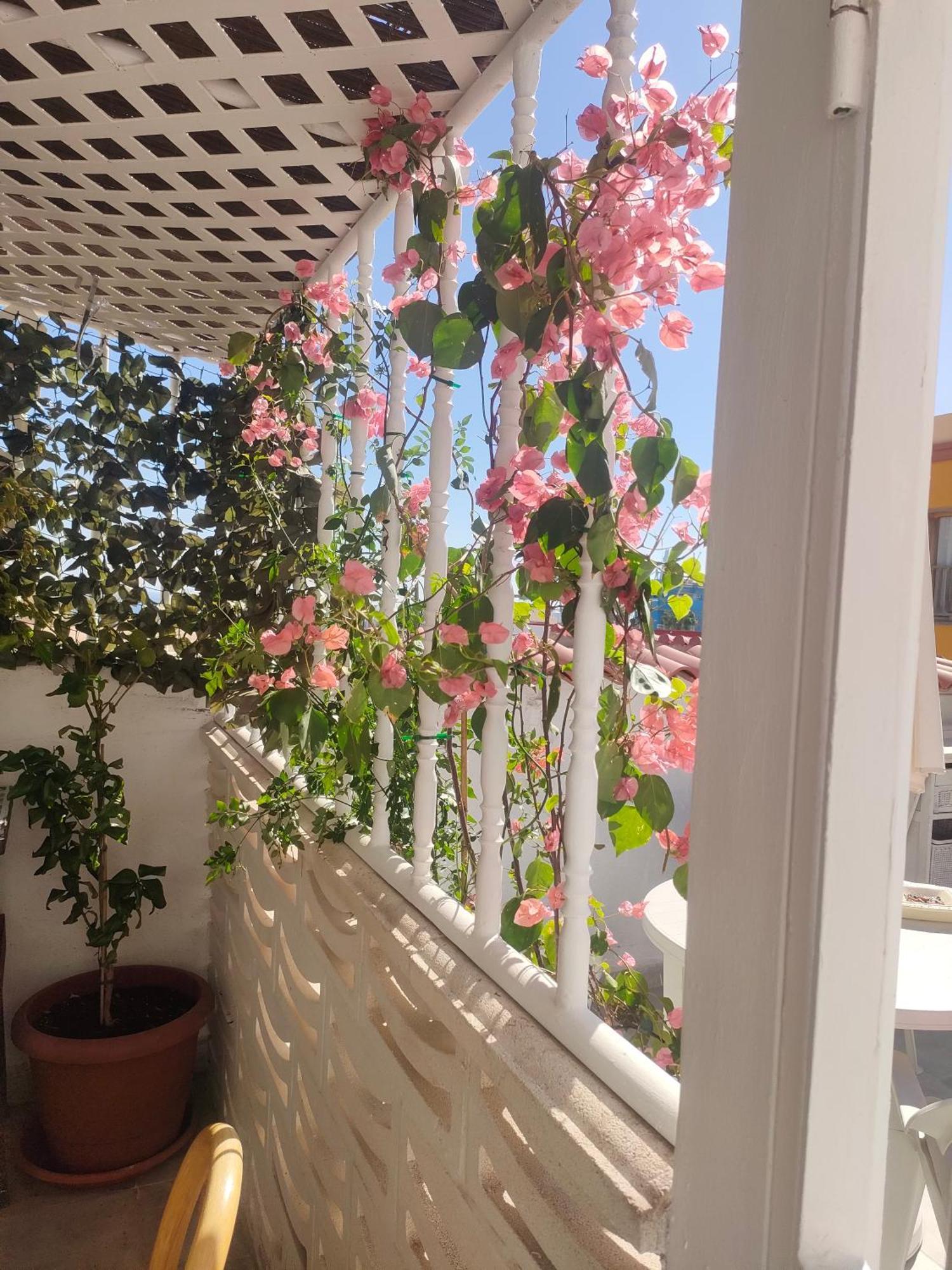 Casa Alba 2 Aparthotel Puerto del Rosario  Εξωτερικό φωτογραφία